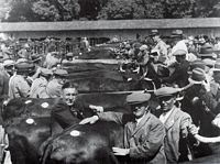 The Bonhay Cattle Market in 1936
