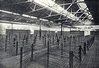 Interior view of the fat pig pens.