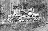 The pile of excavated bones.