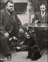 Sam the dog in 1939