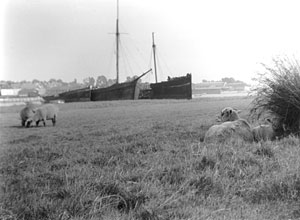 Topsham from the canal circa 1930s