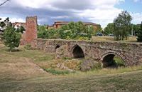 The preserved remains of te medieval bridge