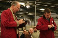 Auctioneers recording a sale in the sheep pen.