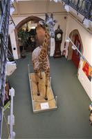Gerald the giraffe was always a favourite with children