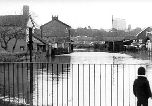Exwick leat flooded